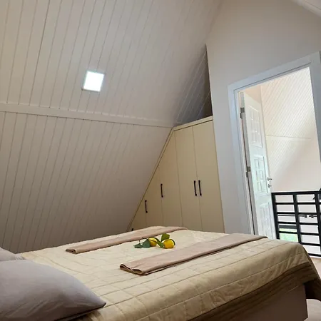 Pakis * Dosemealti