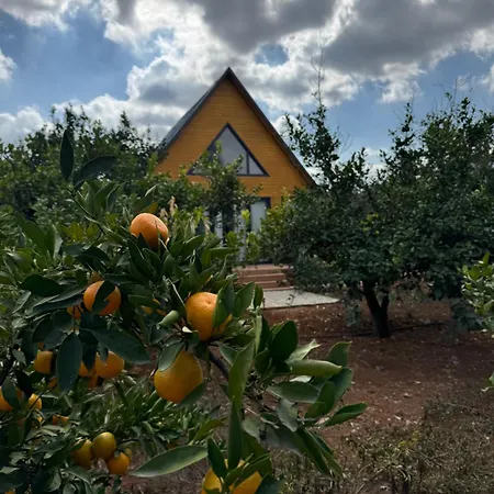 Pakis Prázdninový dům *